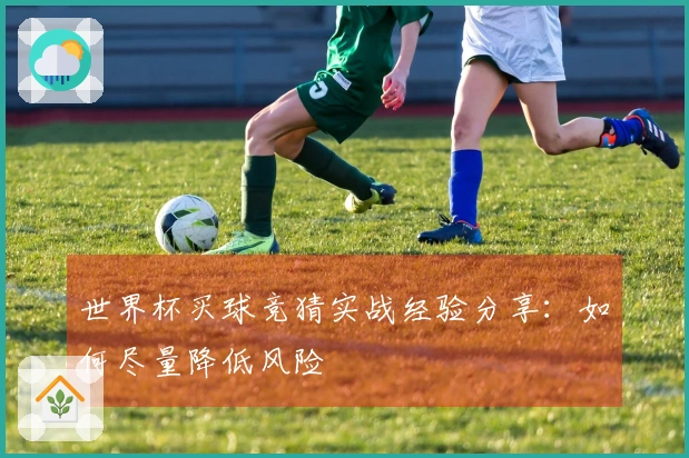 世界杯买球竞猜实战经验分享：如何尽量降低风险