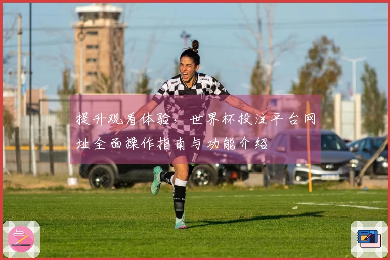 提升观看体验，世界杯投注平台网址全面操作指南与功能介绍