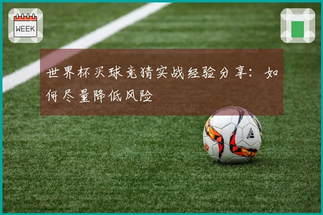 世界杯买球竞猜实战经验分享:如何尽量降低风险