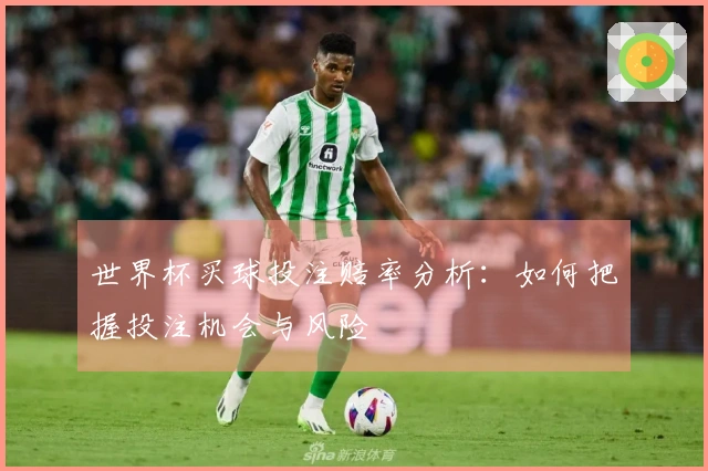 世界杯买球投注赔率分析：如何把握投注机会与风险