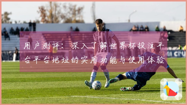 用户测评:深入了解世界杯投注平台平台地址的实用功能与使用体验