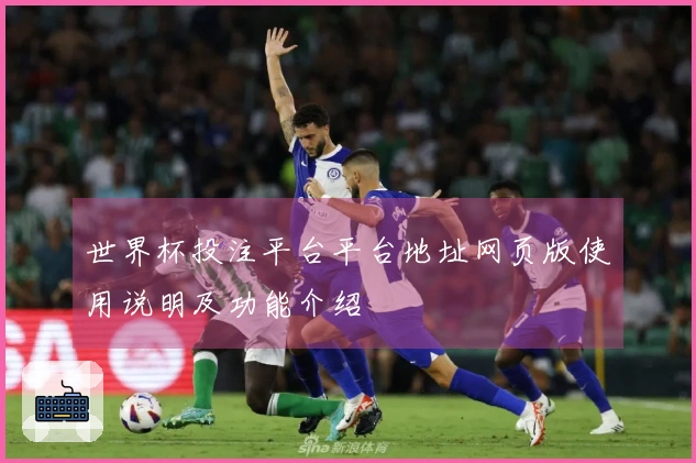 世界杯投注平台平台地址网页版使用说明及功能介绍