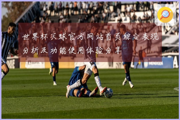 世界杯买球官方网站首页综合表现分析及功能使用体验分享