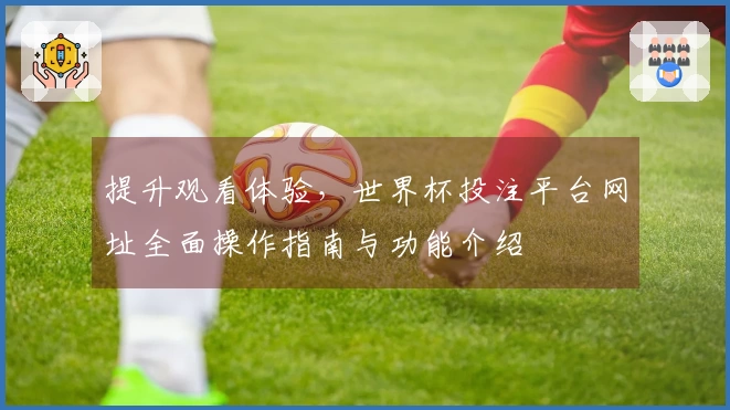 提升观看体验，世界杯投注平台网址全面操作指南与功能介绍