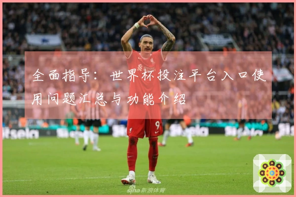 全面指导：世界杯投注平台入口使用问题汇总与功能介绍