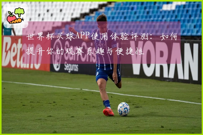 世界杯买球APP使用体验评测：如何提升你的观赛乐趣与便捷性