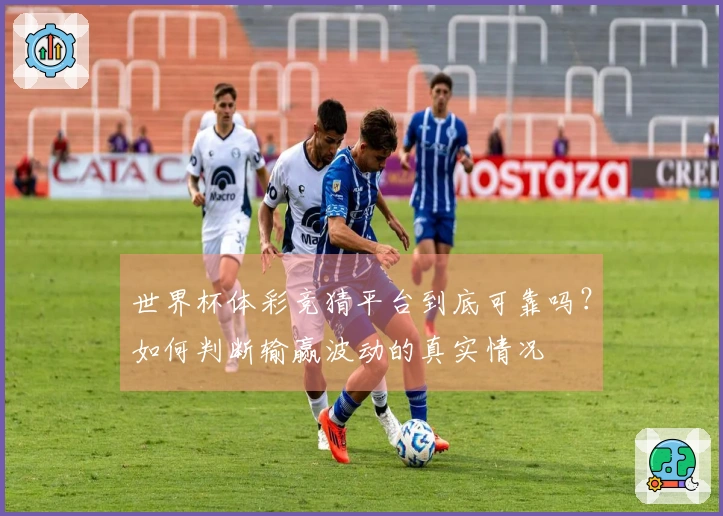 世界杯体彩竞猜平台到底可靠吗?如何判断输赢波动的真实情况