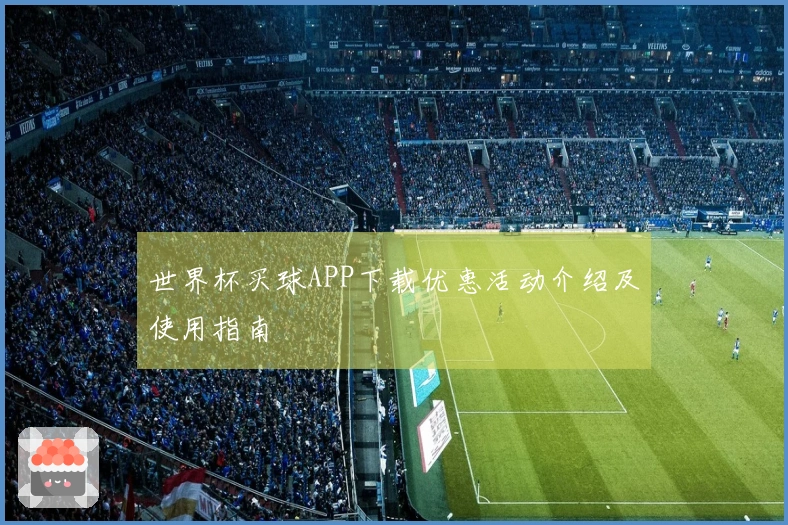 世界杯买球APP下载优惠活动介绍及使用指南