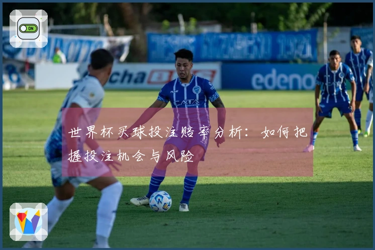 世界杯买球投注赔率分析：如何把握投注机会与风险