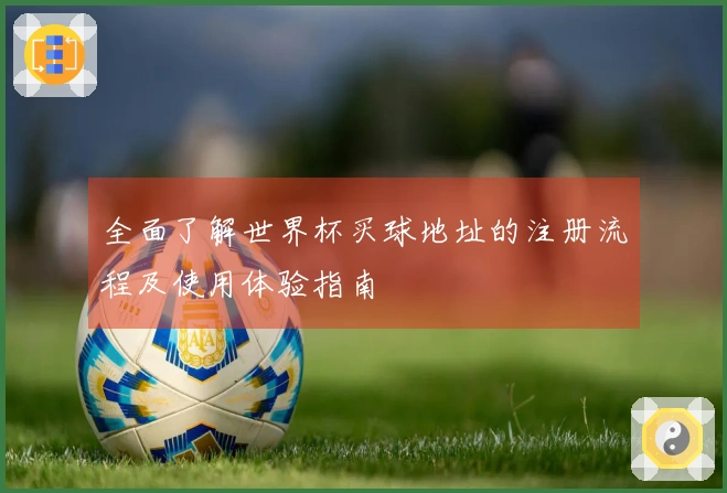 全面了解世界杯买球地址的注册流程及使用体验指南