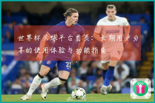 世界杯买球平台首页：长期用户分享的使用体验与功能指南