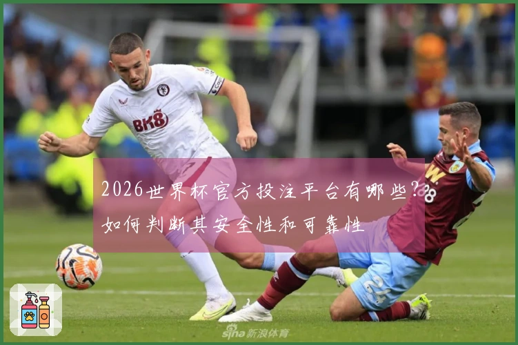 2026世界杯官方投注平台有哪些？如何判断其安全性和可靠性