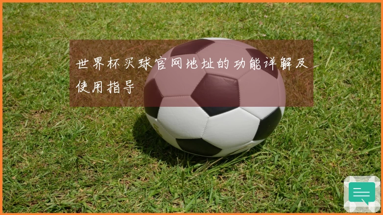 世界杯买球官网地址的功能详解及使用指导
