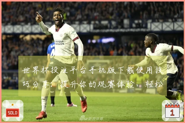 世界杯投注平台手机版下载使用技巧分享：提升你的观赛体验，轻松掌握平台功能！